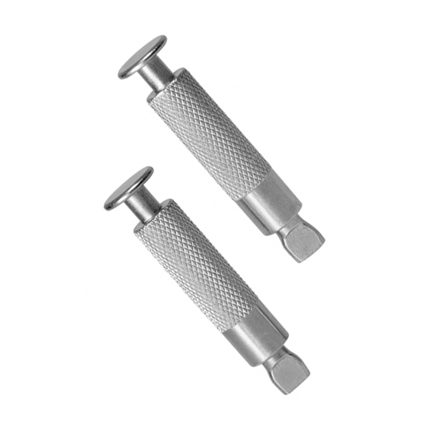 Chiodi per piscina a scomparsa in acciaio inox (Confezioni da 10 pz)